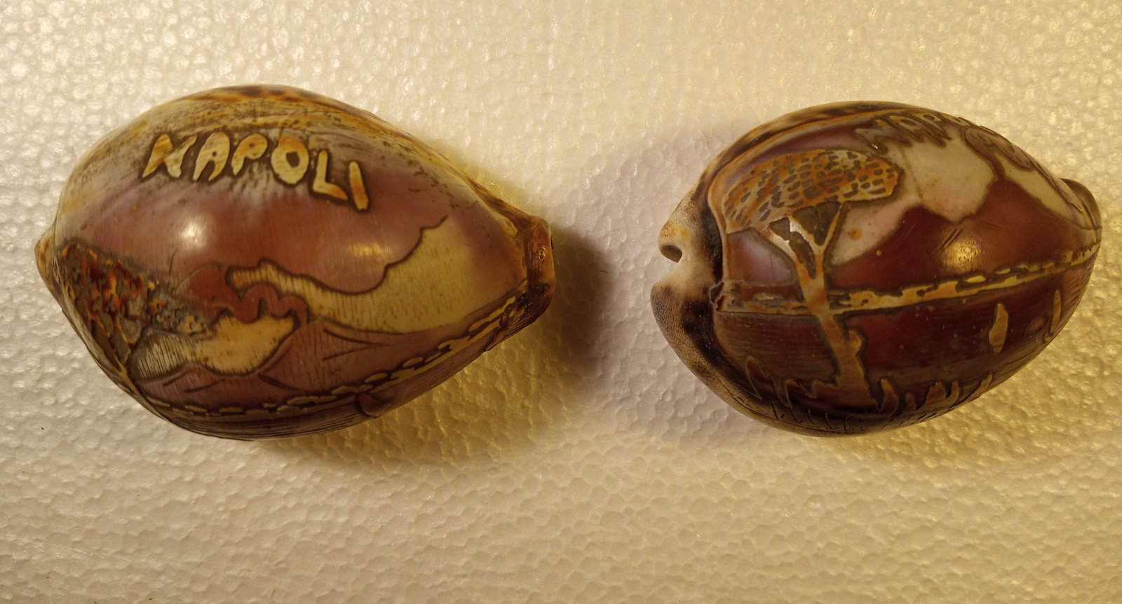 Pair Antique Cameo Carved Cowrie Shells: Very nice shells, decorative pieces.