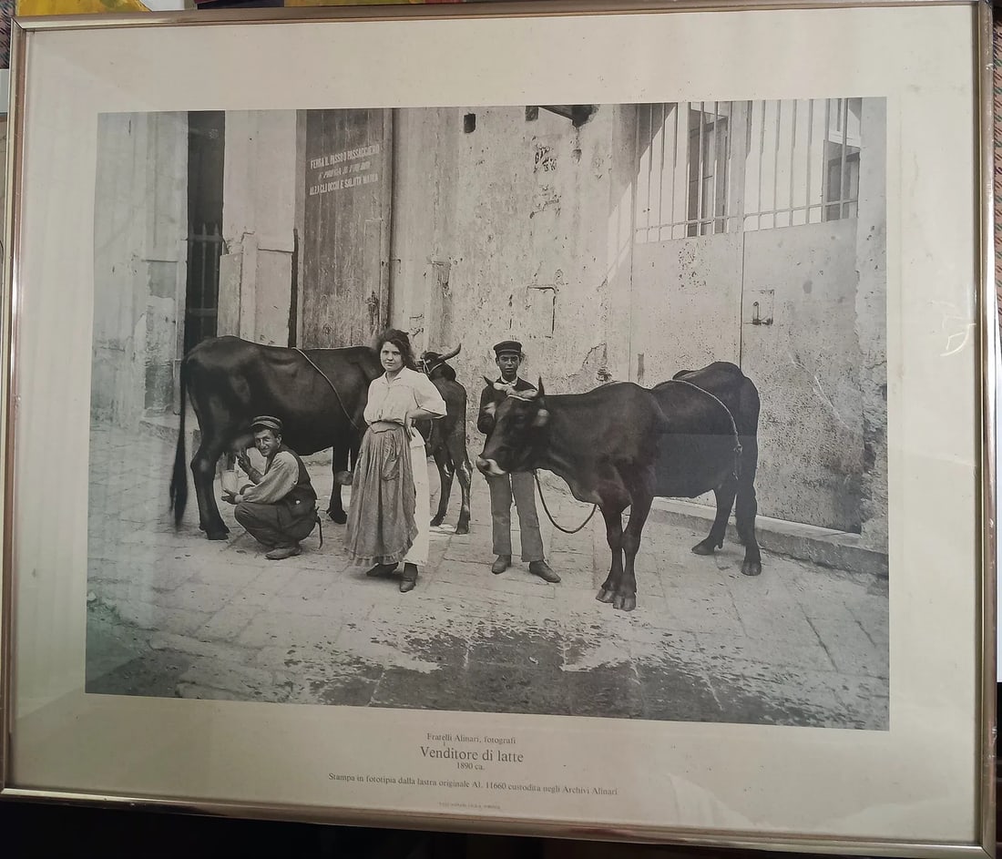 Early Photography Print Italian Village Milk Vendor Alinari Brothers: Circa 1970. Printed in Italy. Chromed steel frame. Ready to hang. Circa 24 x 20 inches framed. Alinari Photography was founded in 1852. Here is a link to information on Fratelli Alinari (Alinari Broth