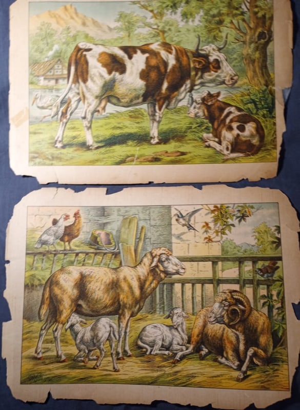 Pair Albert Kull German 1855-1921 Children's Book Illustrations: From a book of illustrations. Unsere Guten Freunde...Our Good Friends. From about 1880. Pellerin type printing process. Sight area measures 11 x 7 1/2 inches. Will be shipped flat file between to stif