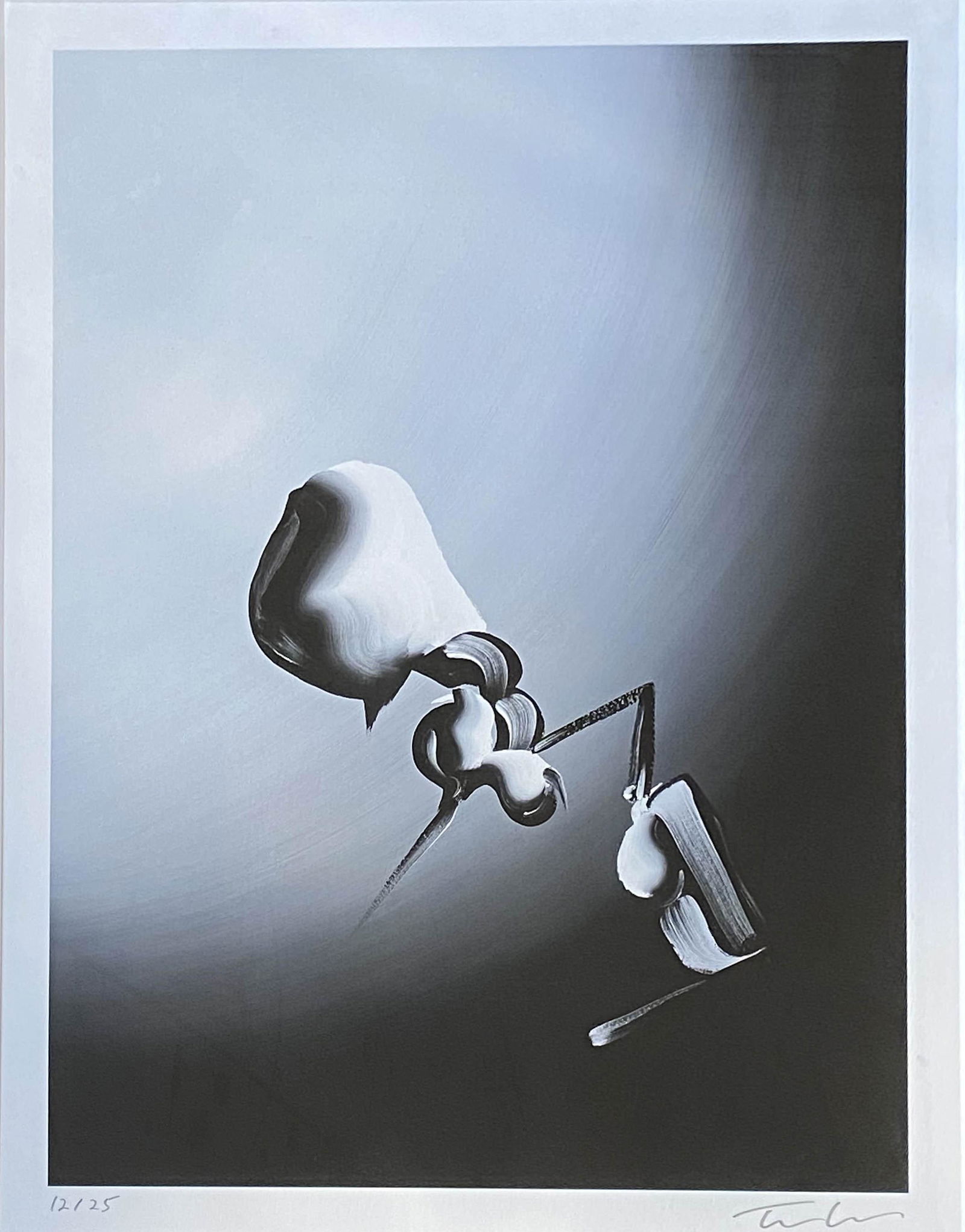 Tomoo GOKITA (Japanese, born in 1969): Tomoo GOKITA (Japanese, born 1969)Untitled, 2008Pigment print on wove paper, numbered in the lower left and signed in the lower rightEdition of 25 copies27,9 x 21 in