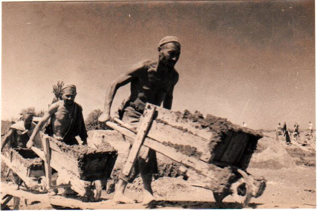 MAX ALPERT 1899-1980 (1 of 1)