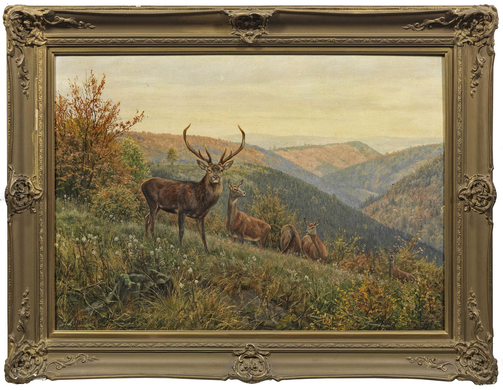 Carl Zimmermann (1 of 1)