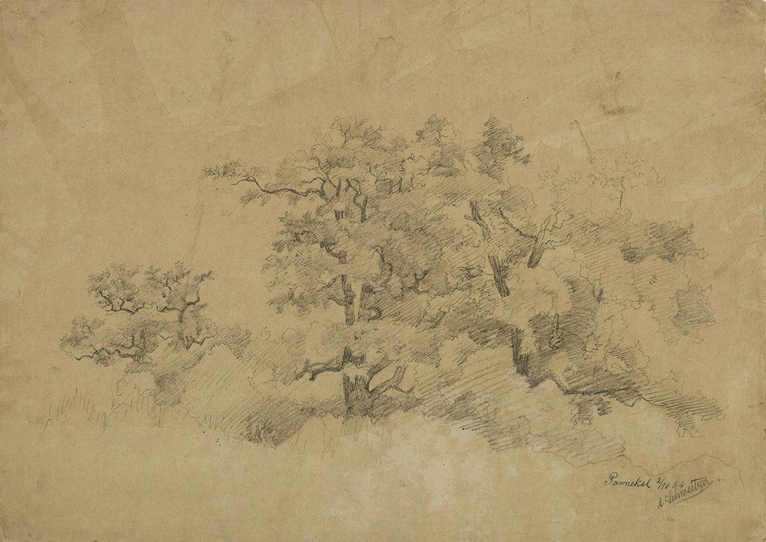 Gustav Adolf Schweizer: (1847 Dessau - 1914 Düsseldorf) /T/Alte Eichen in Dessau-Parnekel// Frühe Landschaftszeichnung des von Oswald Achenbach an der Düsseldorfer Akademie ausgebildeten Malers. Bleistift/Papi