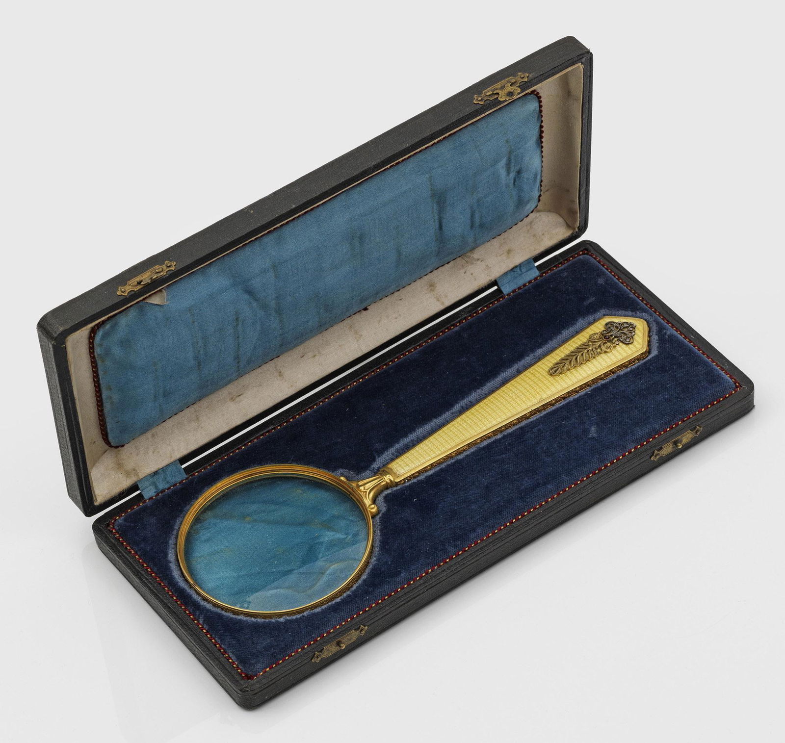 Große Lupe (1 of 1)