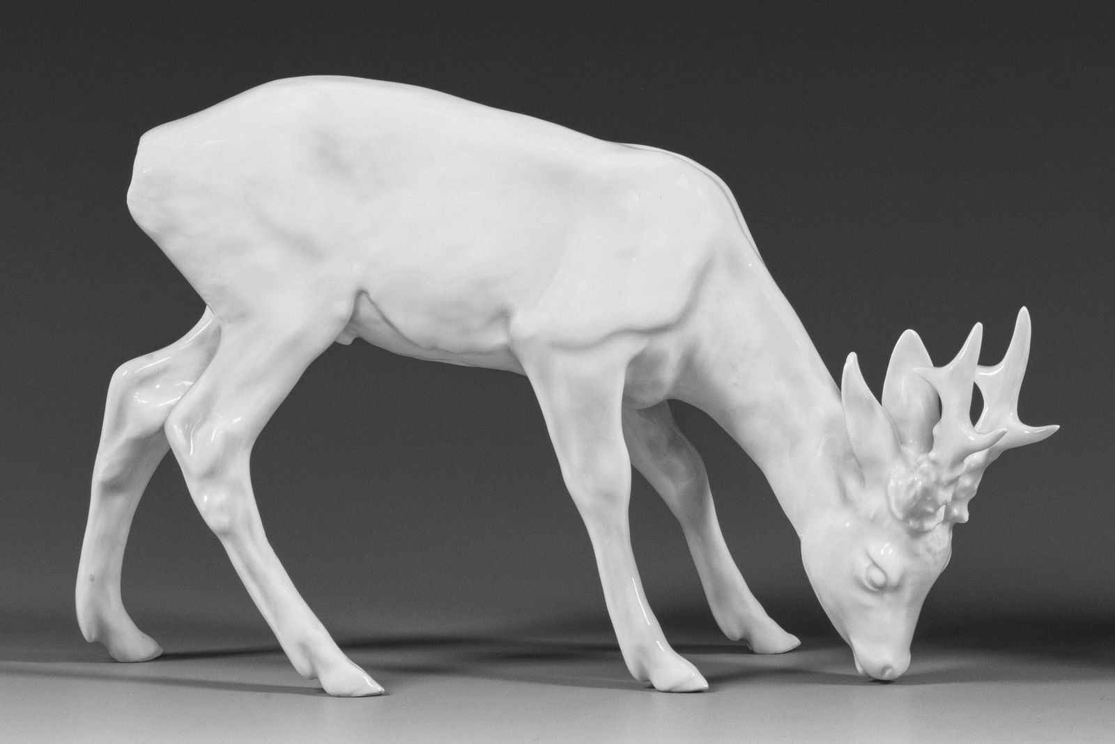 Junger Rehbock (1 of 1)