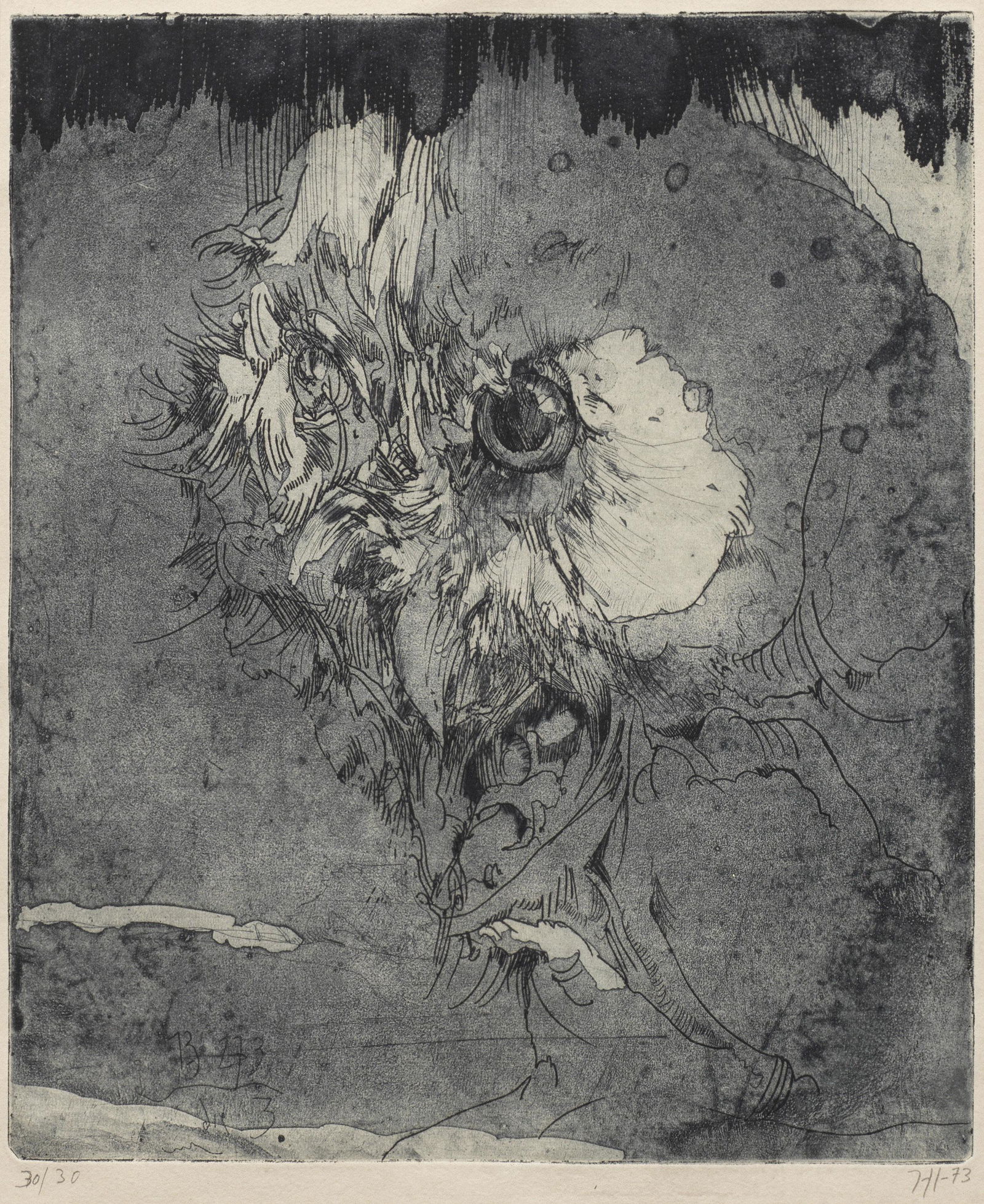 Horst Janssen (1 of 1)