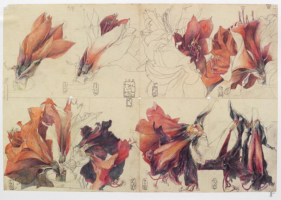 Horst Janssen (1 of 1)