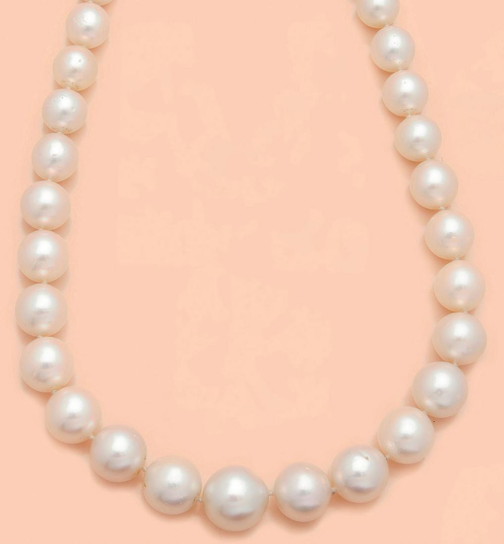 Elegantes SÃ¼dsee-Perlcollier (1 of 1)