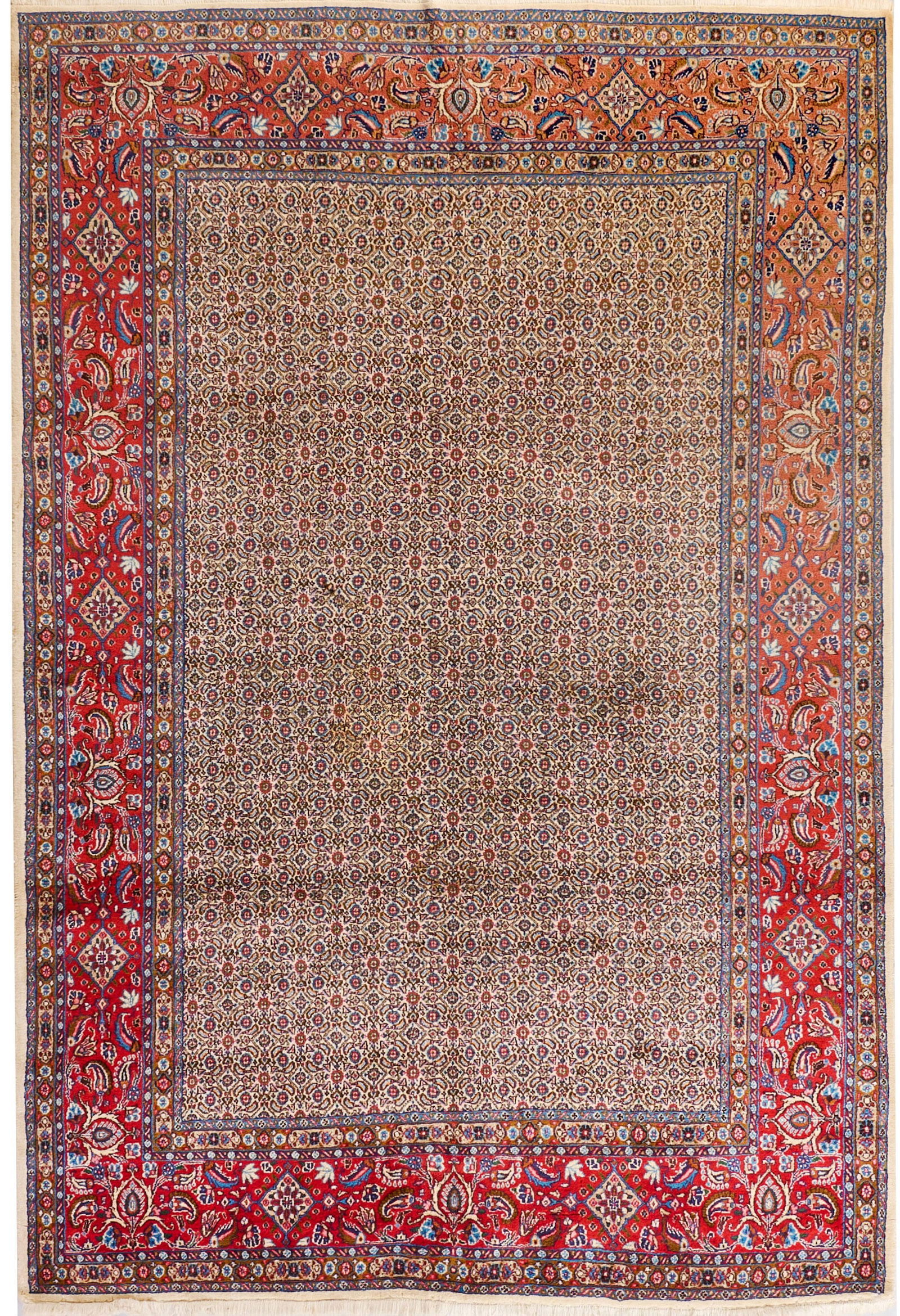 Moud-Teppich (1 of 1)