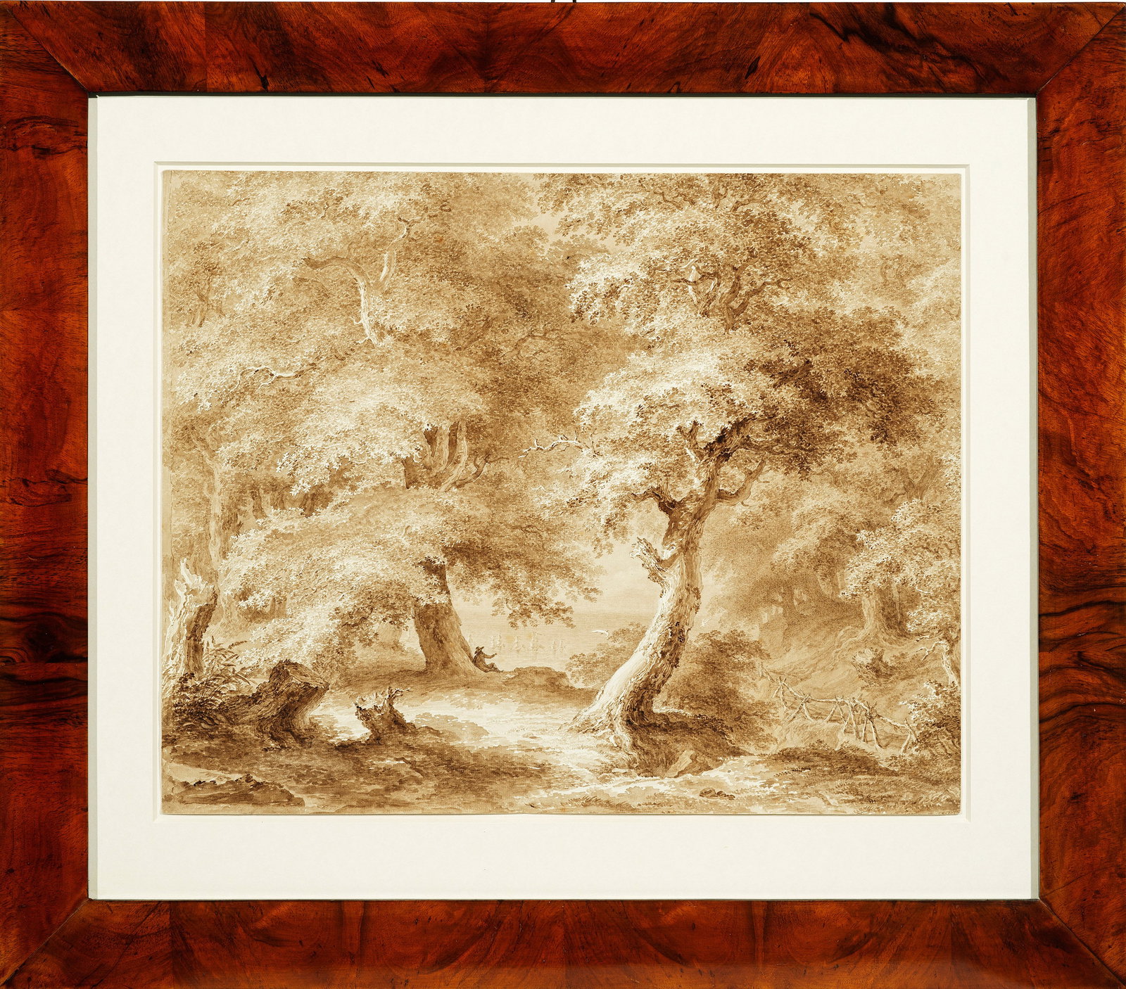 Adrian Zingg (1 of 1)