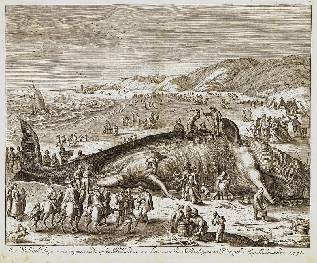Willem (William oder auch Gilliam) van der Gouwen (1 of 1)