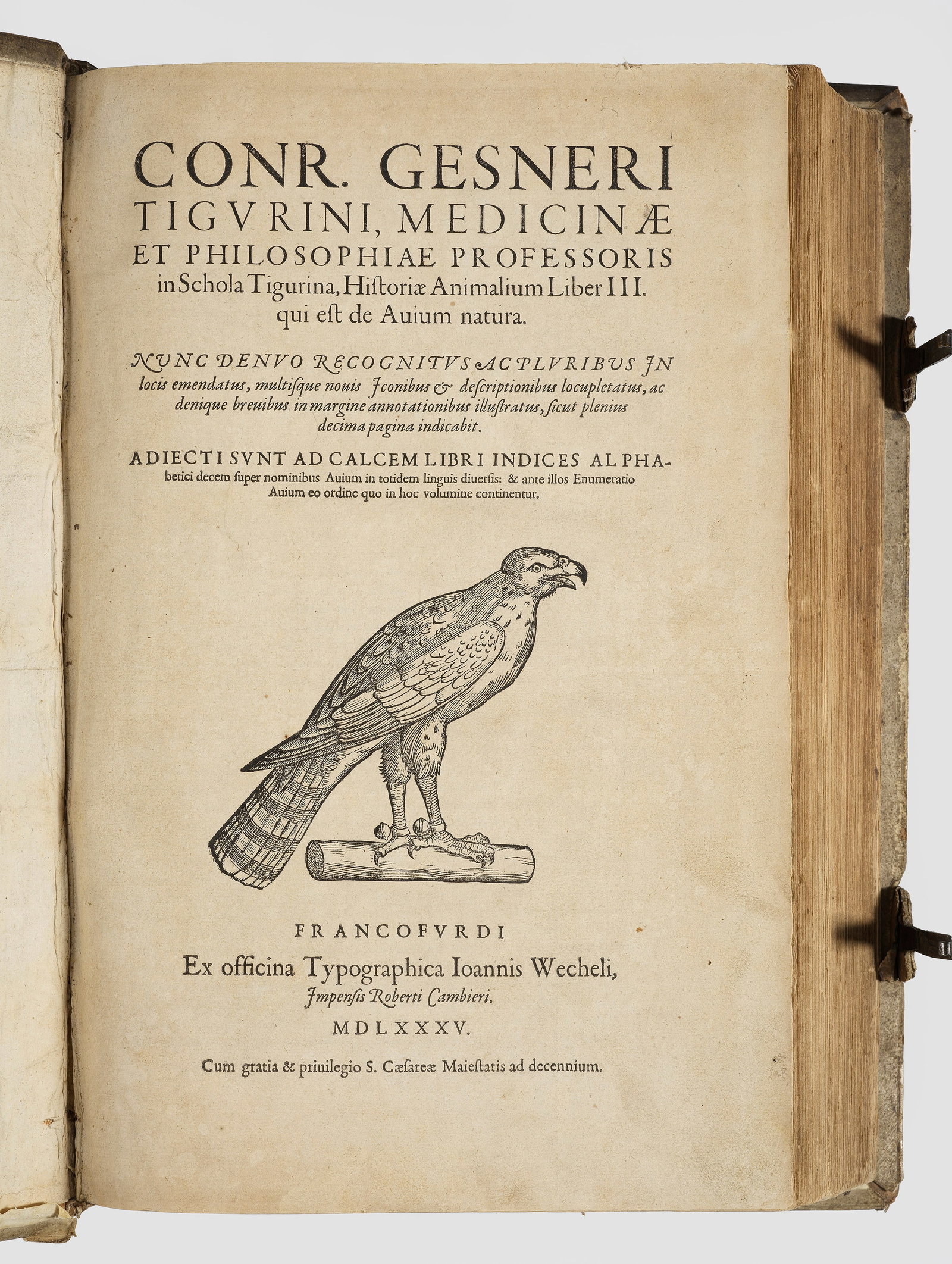 Conrad Gessner (1 of 1)