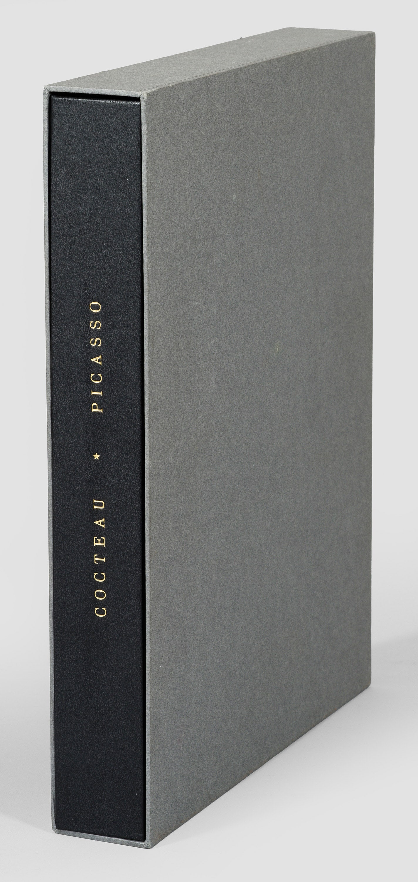 Pablo Picasso (1 of 1)