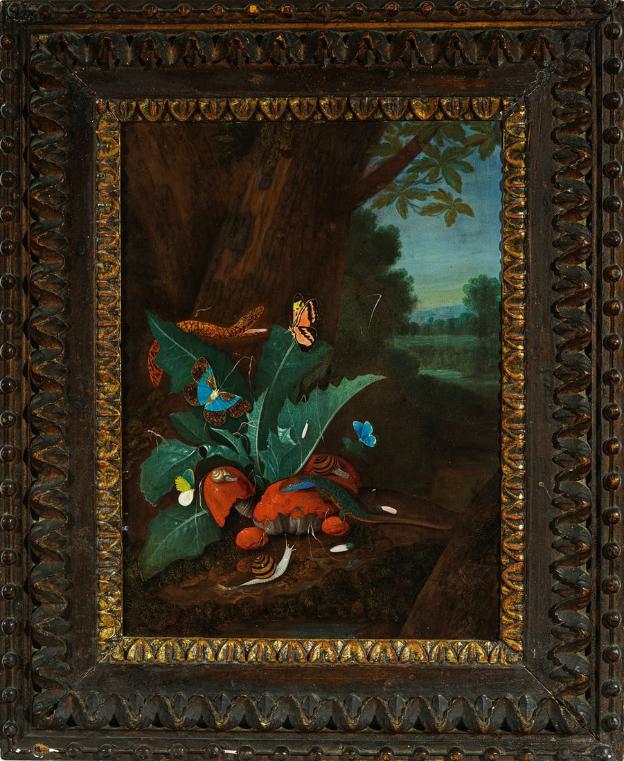 Johann Falch (1 of 1)