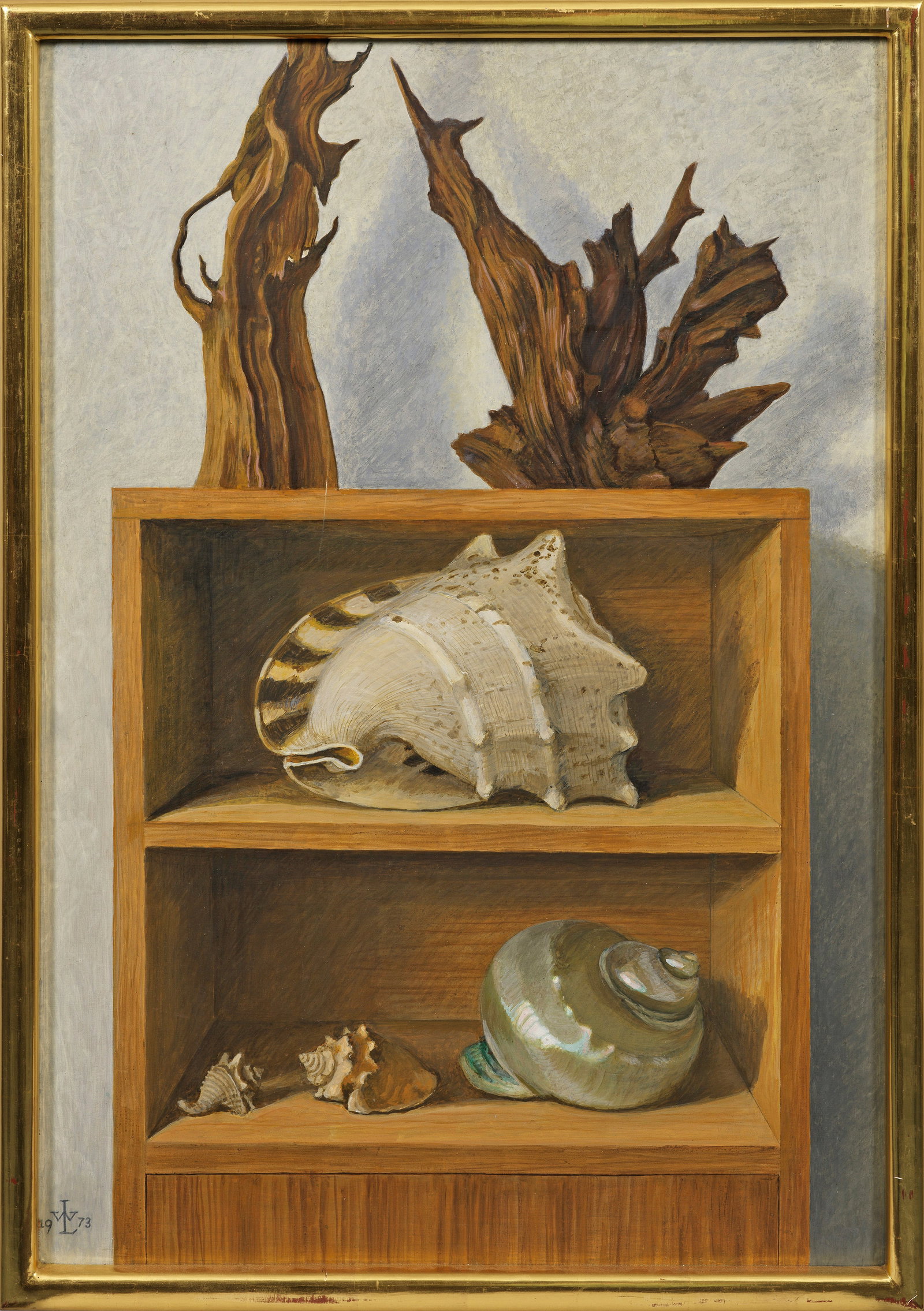 Wilhelm Lanken: (1890 Essen - um 1986) "Muschelkasten". Originaltitel Vor neutralem Hintergrund ein Mahagoniregal mit großen, außergewöhnlichen Muscheln und Schneckenhäusern sowie skulpturalen, knorrigen Ästen.