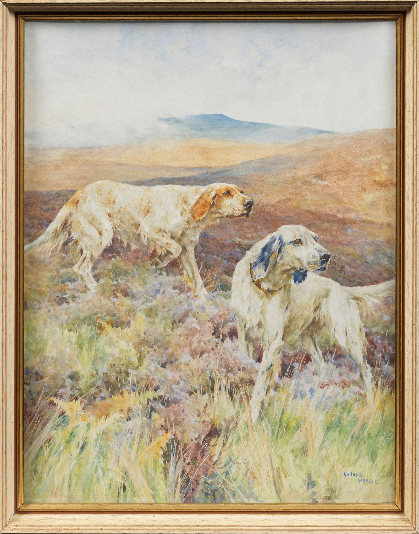 Arthur Wardle: (1864 London - 1949 ebenda) Zwei Setter im Hochmoor Äußerst naturnahe und lebendige Schilderung zweier English Setter im Highland Moor in charakteristischer, herbstlich gefärbter Vegetation. Stil- 