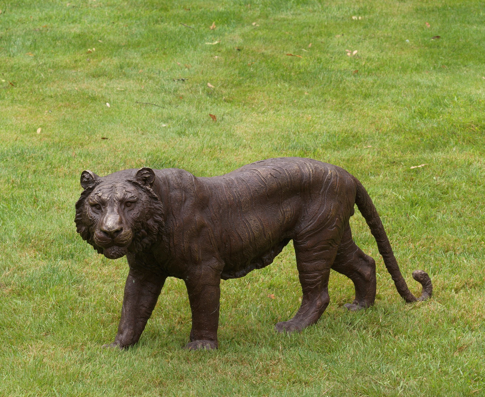 Schleichender Tiger: Bronze, braun patiniert. Vollplastische, im Detail der reliefierten Fellzeichnung naturgetreu gestaltete Garten- und Parkfigur mit ausdrucksstarkem Habitus, mit wachem Blick etwas Entferntes fokussier