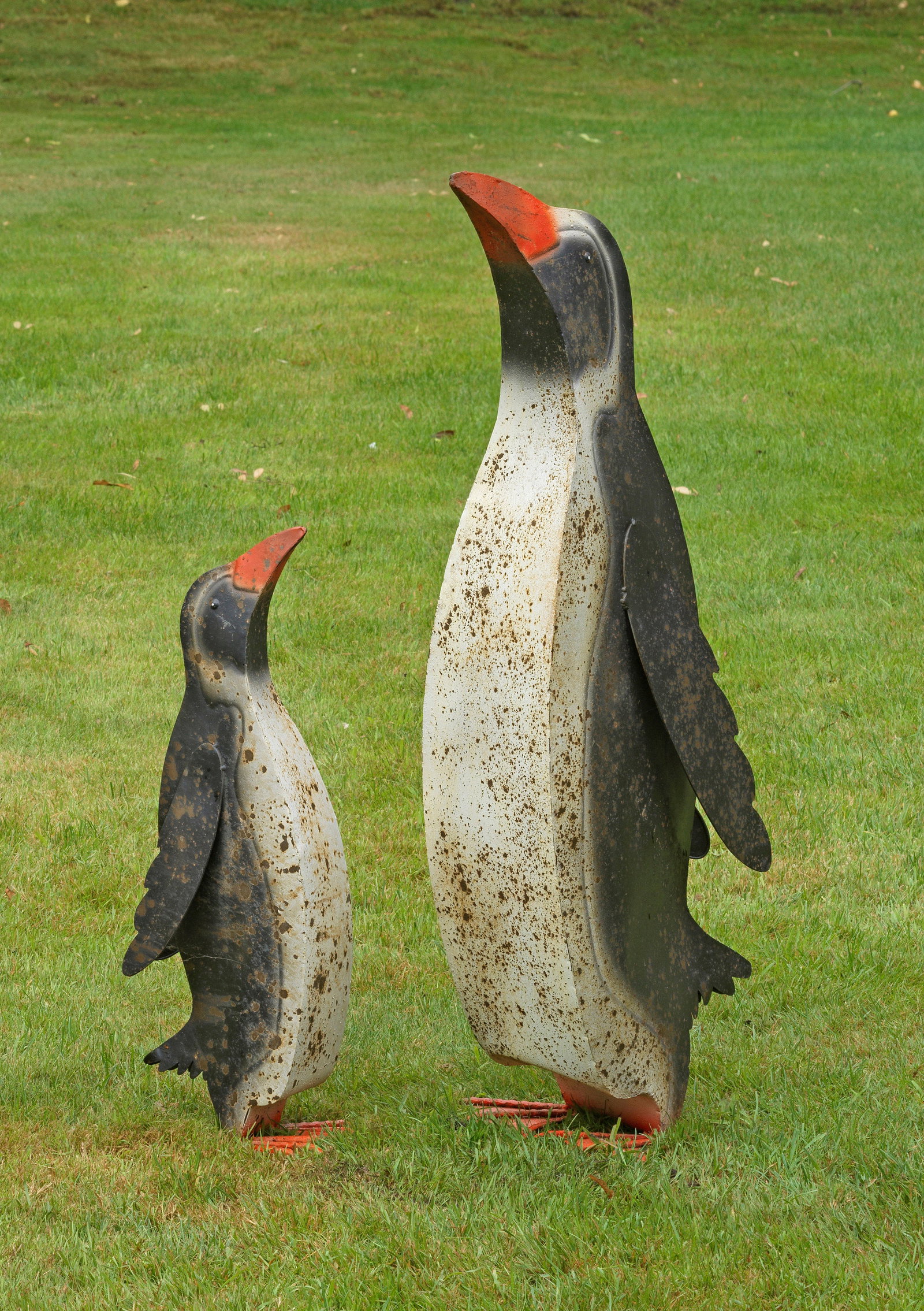 Paar dekorative Pinguine: Metall mit Rostpatina, farbig gefasst. Aufrecht stehender ausgewachsener und junger Königspinguin, den charakteristischen Pendelgang andeutendend. H. 57 cm - 89 cm. A pair of decorative metal penguin
