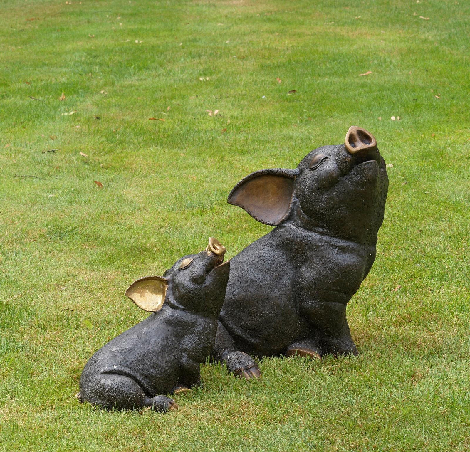 Zwei Glücks-Schweine (1 of 1)