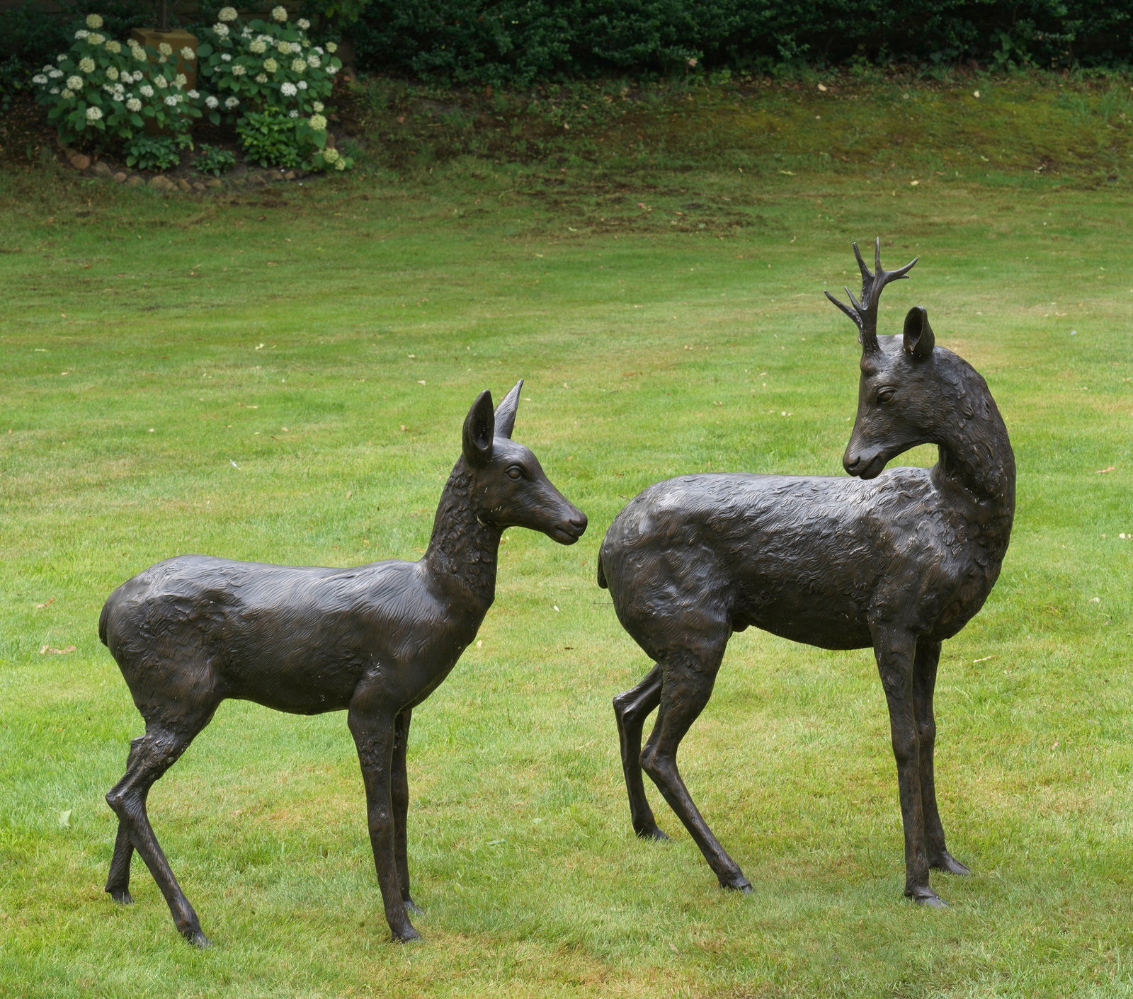 Rehbock und Ricke als Parkfiguren: Bronze, dunkel patiniert. Als Gegenstücke gearbeitet. Vollplastische, lebensnahe Darstellung von Rehbock und Ricke mit fein reilefierter Fellzeichnung den Blick aumerksam fortschauend bzw. zur Seite 