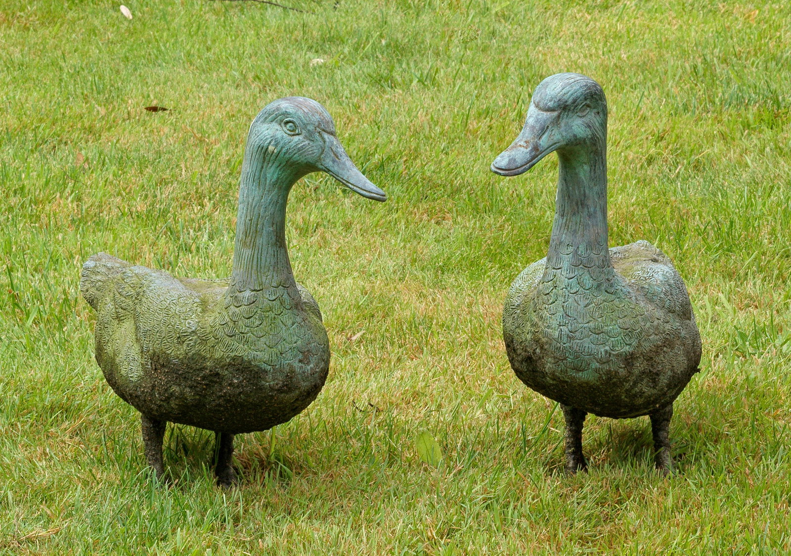 Paar Enten als Gartenskulpturen: Bronze, grün patiniert. Als Gegenstücke vollplastisch gearbeitete Vögel mit fein reliefiertem, angelegtem Gefieder und aufrechtem Blick, die Gegend aufmerksam erkundend. H. 38 cm. A pair of German 