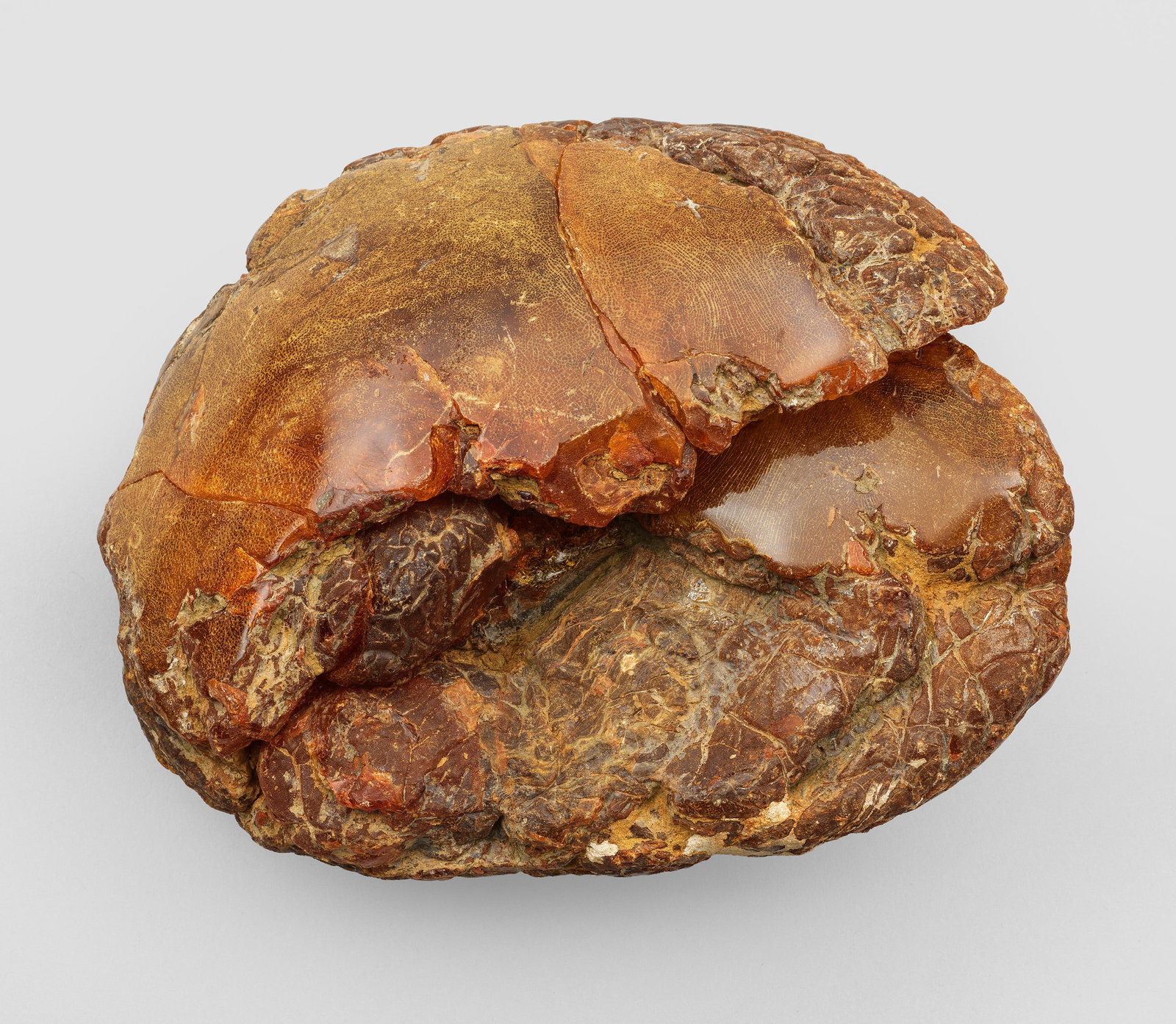 Großer Bernstein: Naturbelassener Rohbernstein in Butterscotch-Färbung mit Inkrustationen und Einwachsungen. Gew. ca. 720 g. B. 15 cm. A large natural amber stone. Ostseeraum.