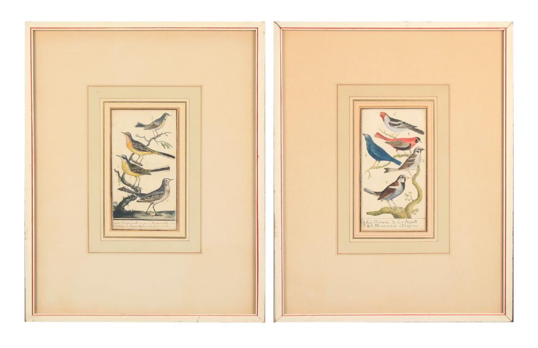 Two 18thc. Ornithological Prints (1 of 9)