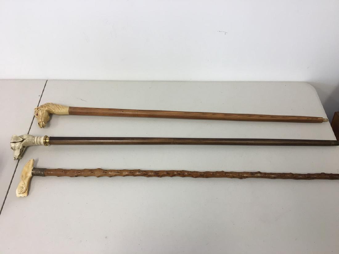 Three Old Canes, Bone and Plastic Handles: Wooden canes. One handle of dog, one handle of horse, and one handle of seashell.
