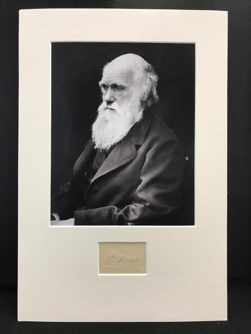 Charles Darwin Ink Signature (Attribution) (1 of 3)