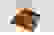 item-58731527=4