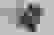 item-58731527=6