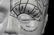 Phrenology Porcelain Head Figure By L.N. Fowler - 10