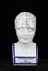 Phrenology Porcelain Head Figure By L.N. Fowler