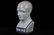 Phrenology Porcelain Head Figure By L.N. Fowler - 2