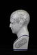 Phrenology Porcelain Head Figure By L.N. Fowler - 4