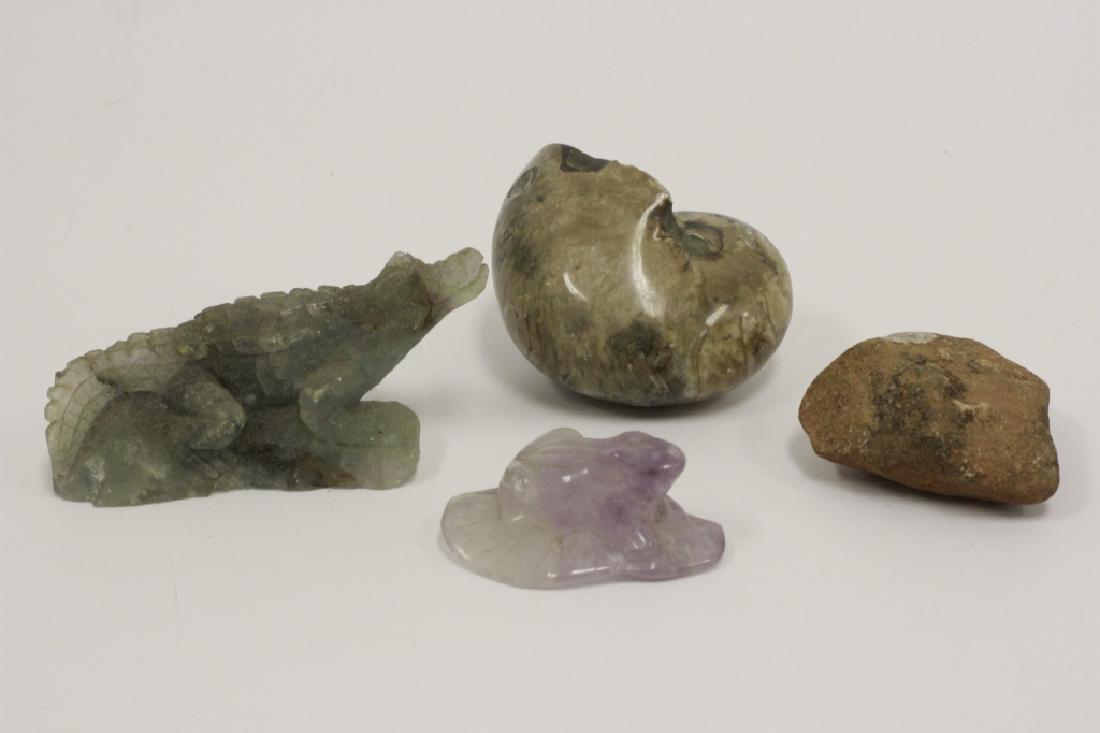 Fossilized Snail Shell, Rock Crystal Amethyst Frog (1 of 5)