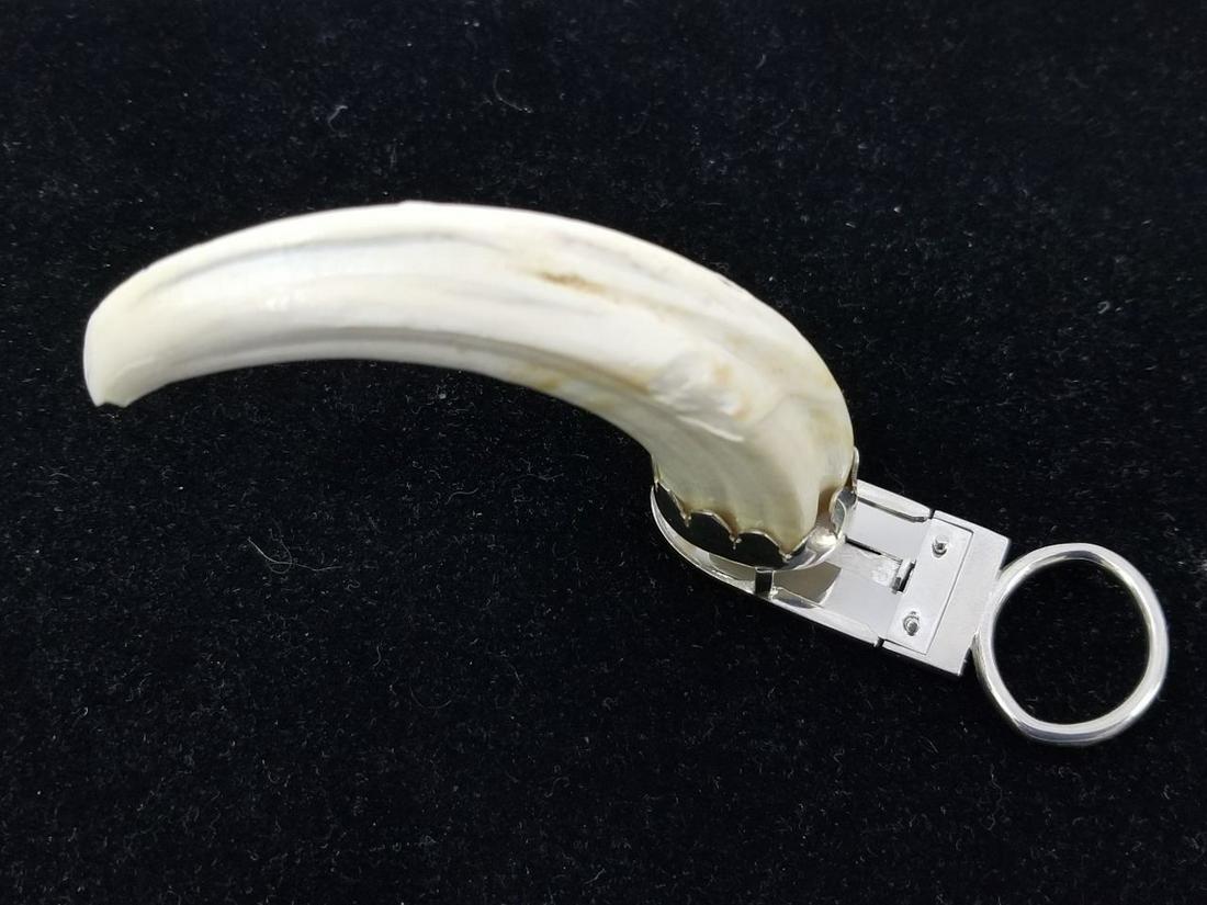 Rare Hand made Sterling Silver Cigar Cutter: Rare Hand made Sterling Silver Cigar Cutter with Warthog Tusk.Condition: Generally good condition, the tusk has some chips due to its nature and the chips are original. Silver apparently is not Hallma
