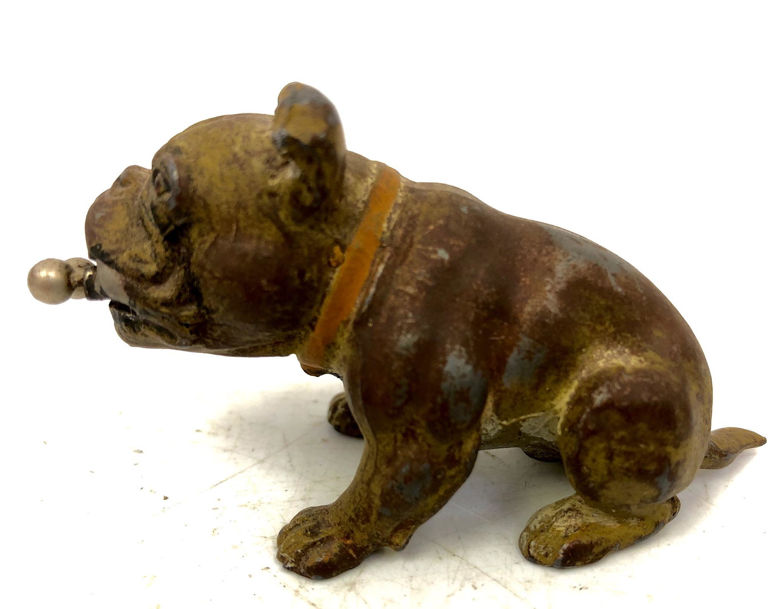 Rare Metal Cigar Cutter in Shape of a Bull Dog: Rare Metal Cigar Cutter in Shape of a Bull Dog. Cutter extends out from mouth of dog, to be used.Generally good condition, in working order. Some loss to paint work. Dimensions- H- 1.5" x L- 3" x W- 1