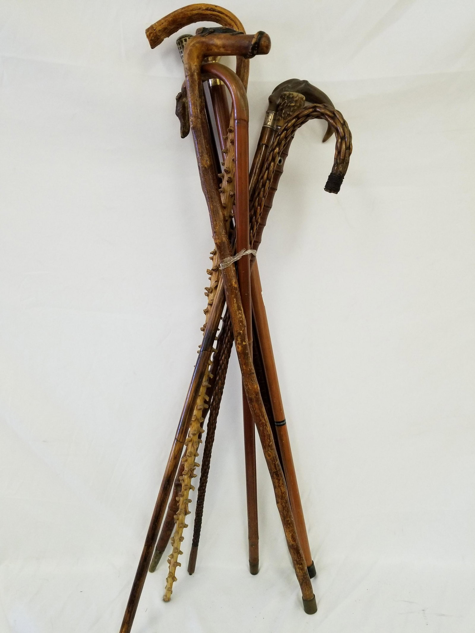 8 Antique Wood Canes: 8 Antique Wood Canes. 1 w/ Beautifully Carved Head of a Dog w/ Glass Eyes. 1 is Rattan. Condition- All Generally Good Condition. Dimensions- Tallest- H-39".Provenance - from an Upstate NY Estate. Plea