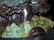 Chinese Unusual Carved Jade Boulder on Wooden Base - 3