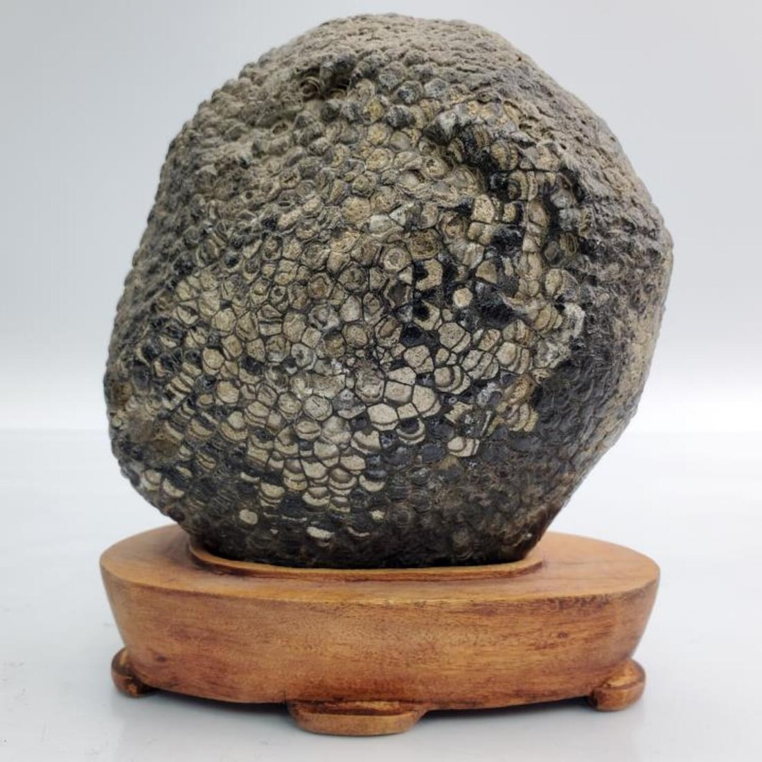 Chinese "Scholar's Rock" on Original Wood Base (1 of 5)