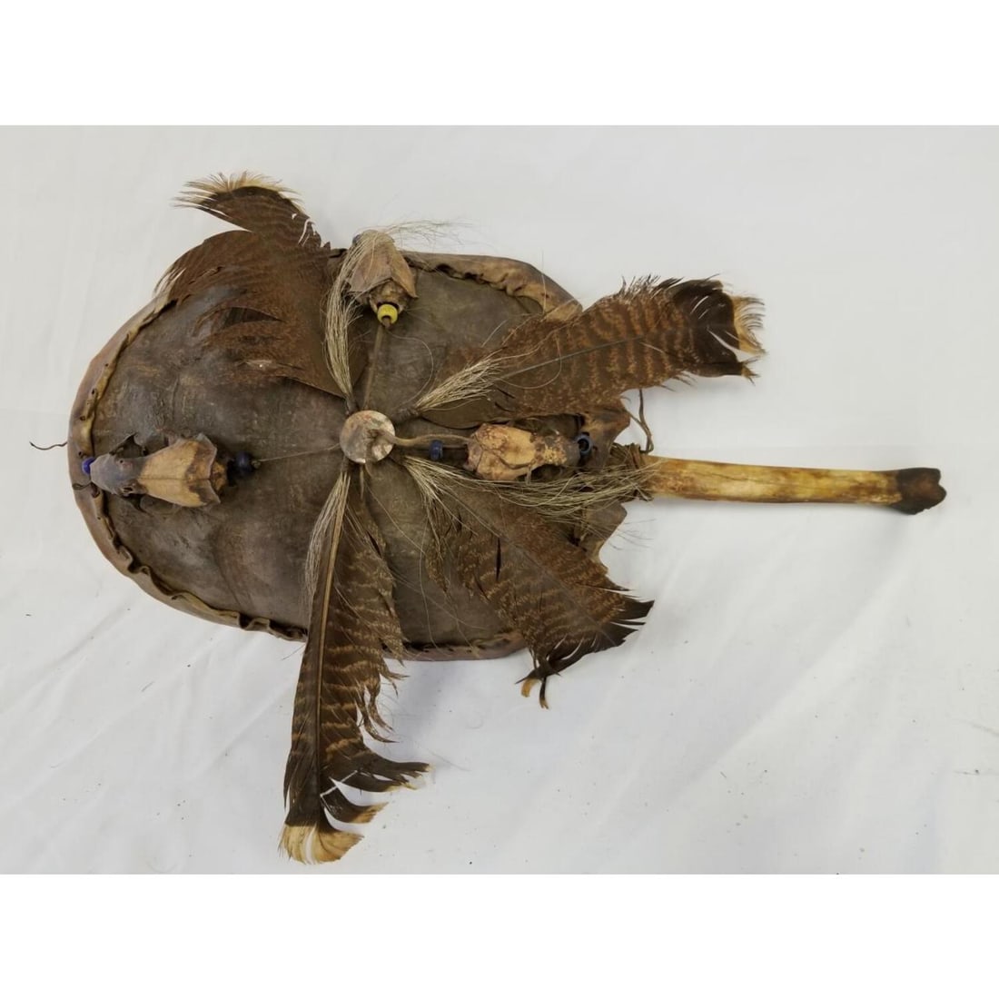 Native American Old Ceremonial Artifact: Native American Old Ceremonial Artifact. Hand Crafted from a Turtle. Condition: Generally Very Good.Dimensions: L-17". Provenance: From an Upstate, NY Estate.Please note the absence of a Condition Rep