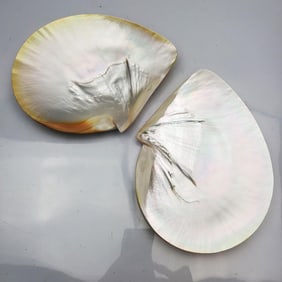 Set of 2 Mother of Pearl Catch All Dishes