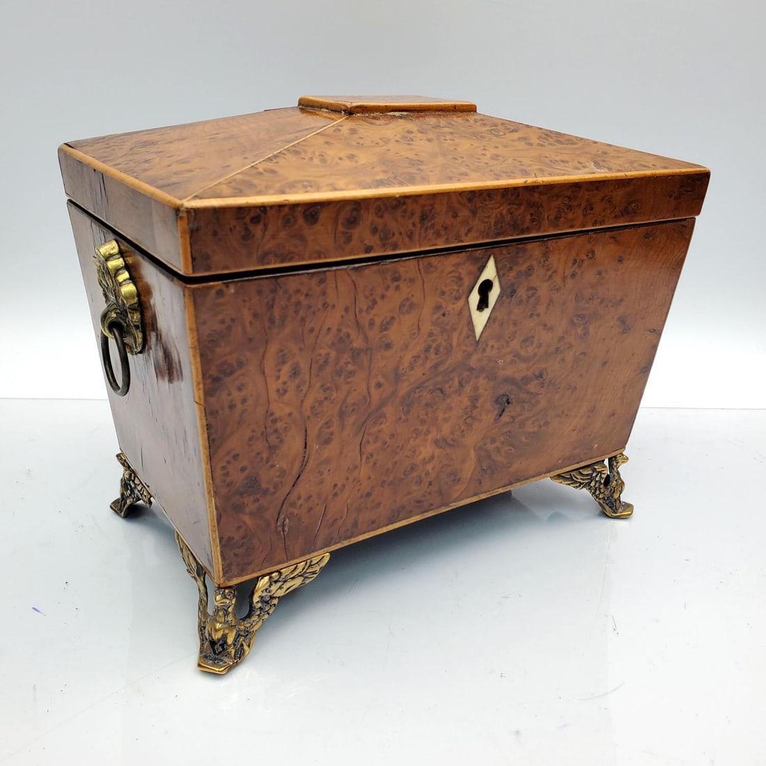 Antique English Burr Yew Tea Caddy Box (1 of 6)