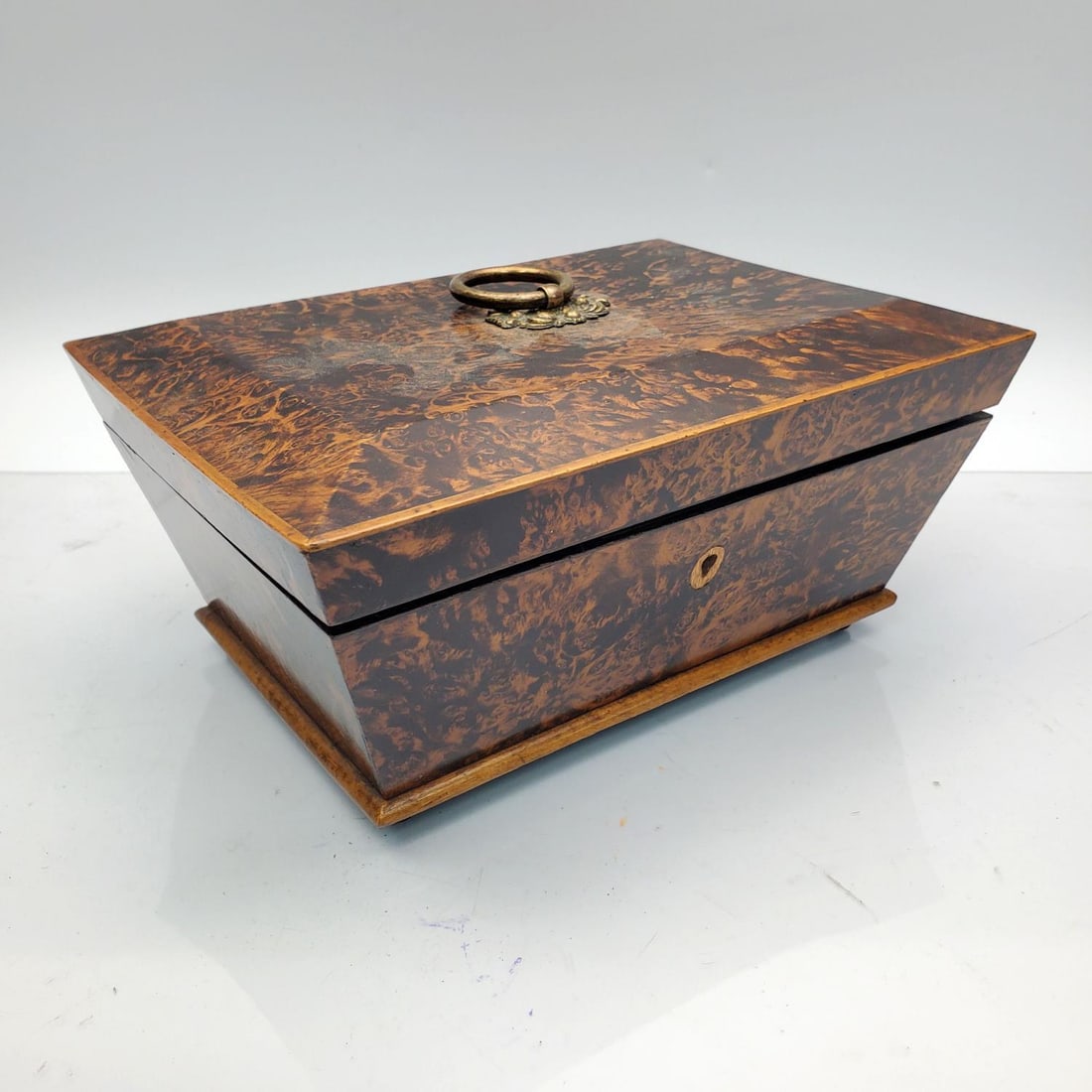 Antique English Burled Wood Casket Box (1 of 5)