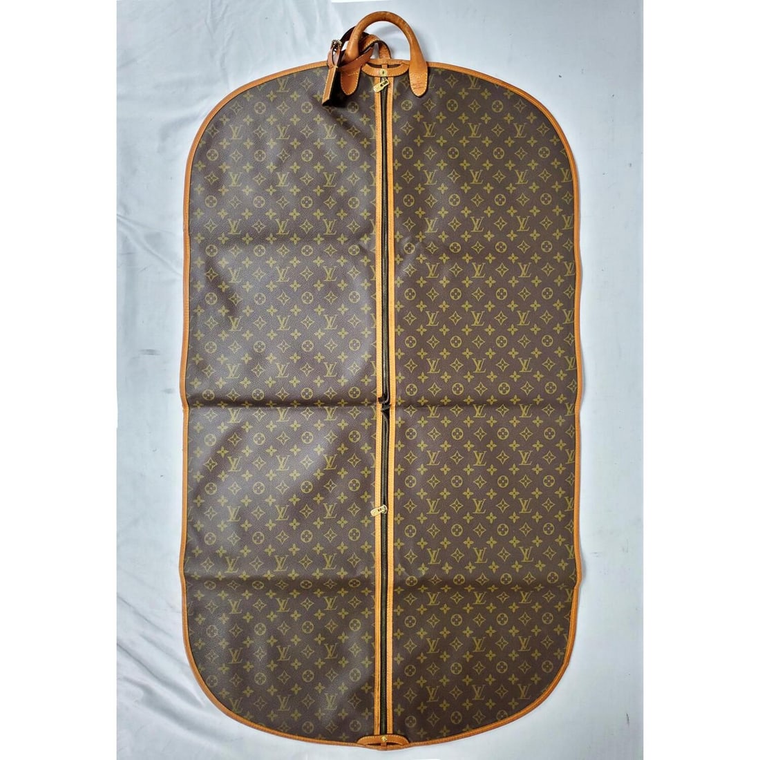 Vintage Garment Bag (1 of 7)