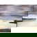 item-210470867=2