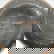 item-210470964=4