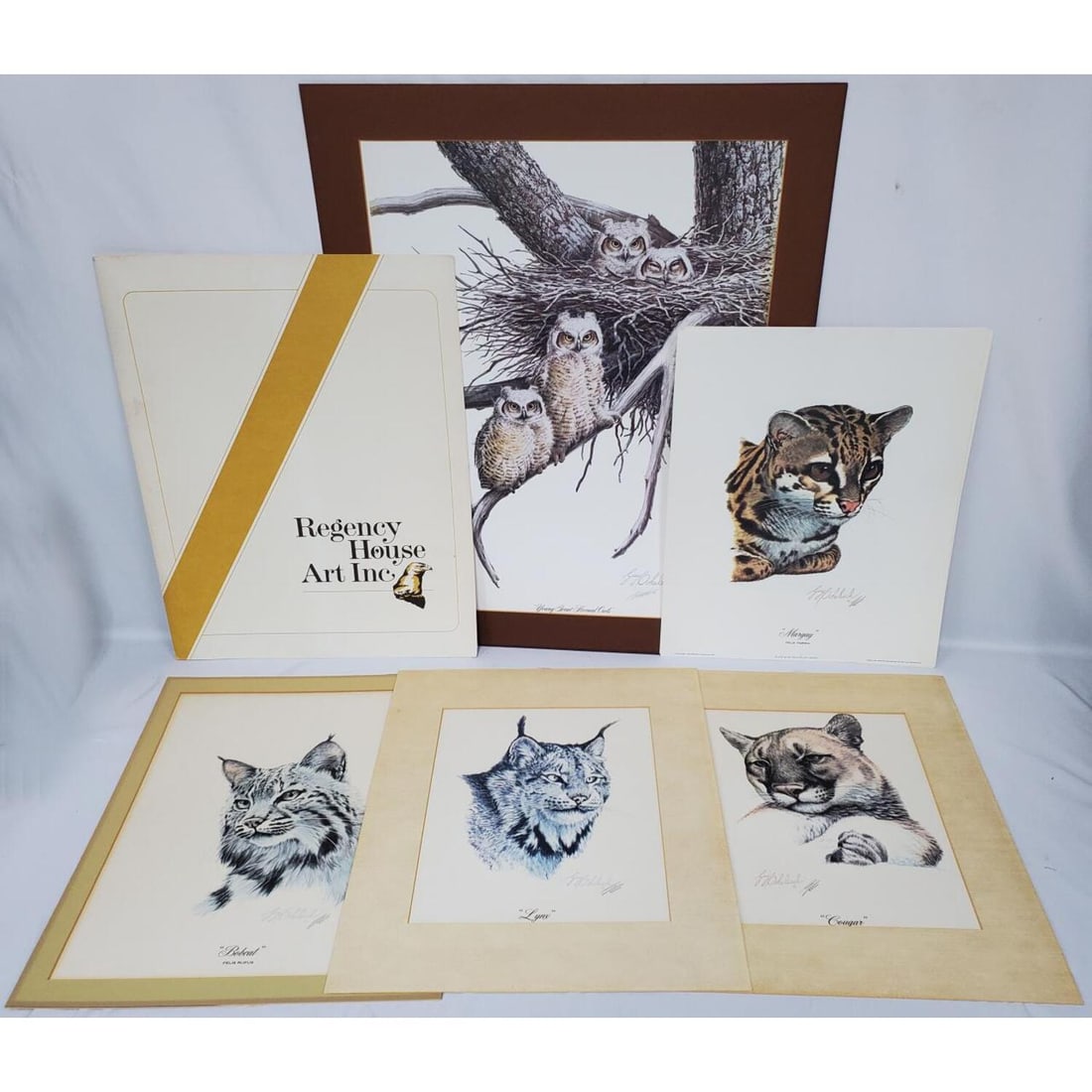 Large Lot of Prints by Guy Coheleach (1 of 3)