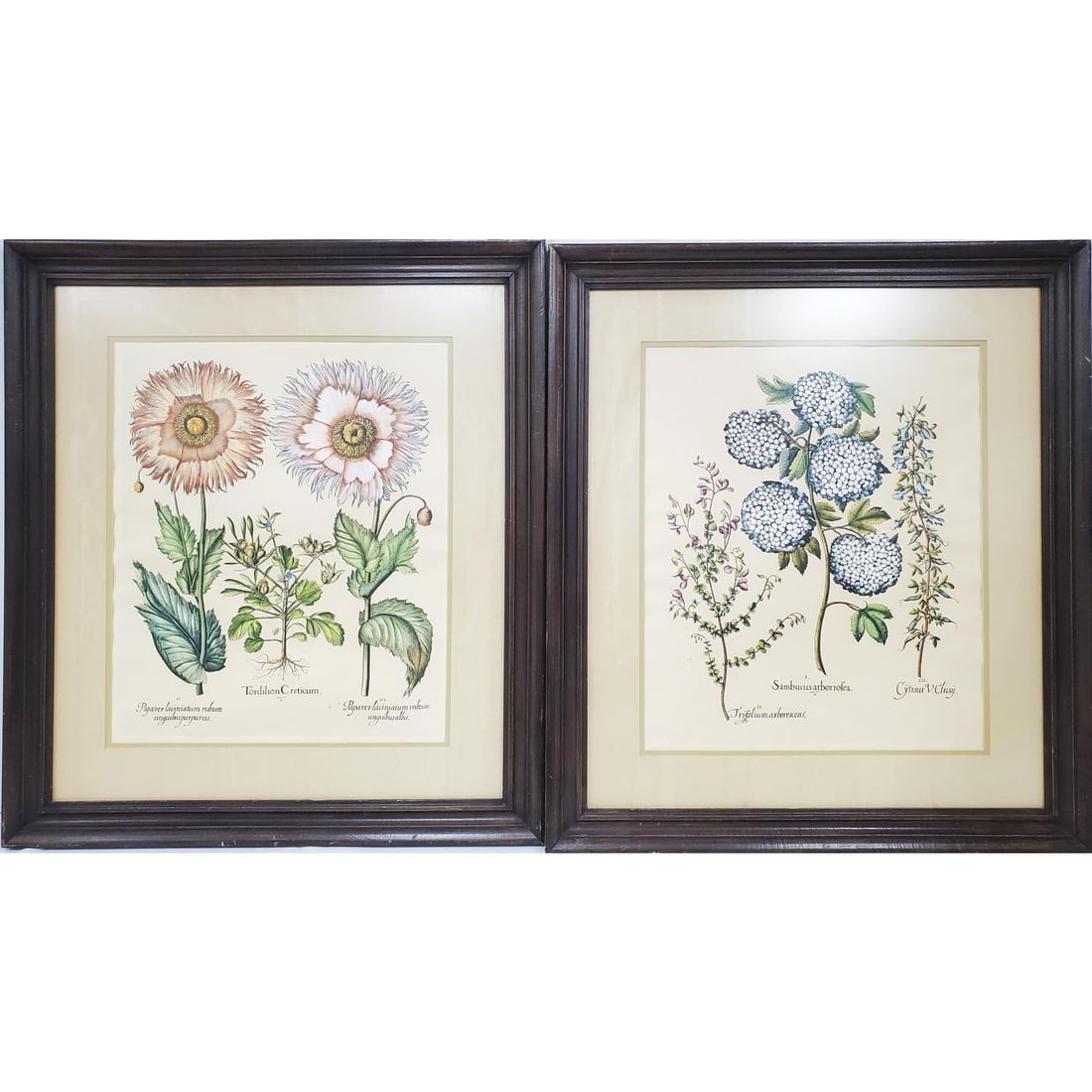 2 Botanical Prints In Original Frames (1 of 3)